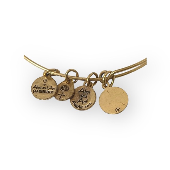 new Alex and Ani ꥟ Mini Script Initial "G" Wire Bangle Bracelet ꥟ Rafaelian Gold - Picture 9 of 14